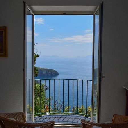 Il Giardino Selvatico Di Succellario - Apartments Barano dʼIschia Esterno foto