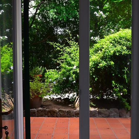 Il Giardino Selvatico Di Succellario - Apartments Barano dʼIschia Esterno foto
