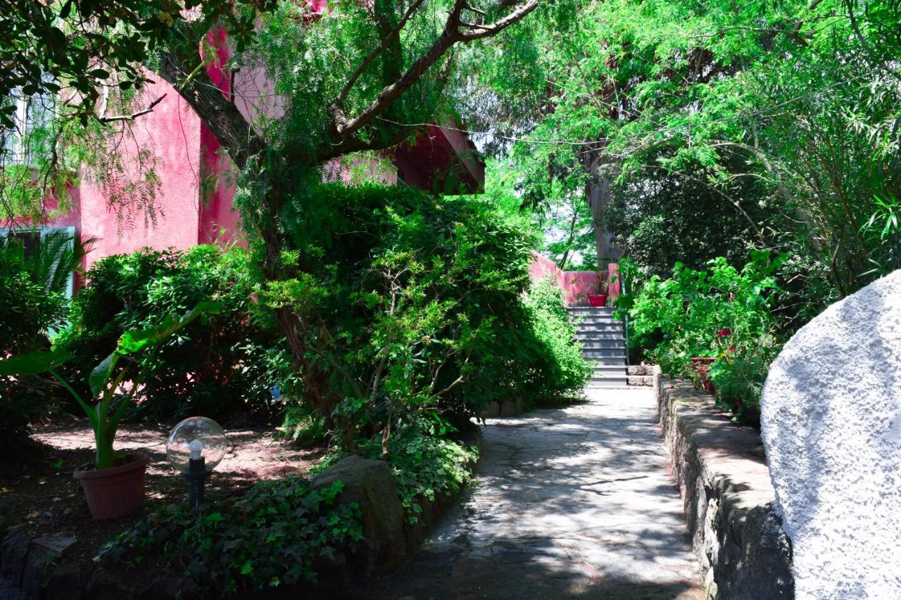 Il Giardino Selvatico Di Succellario - Apartments Barano dʼIschia Esterno foto