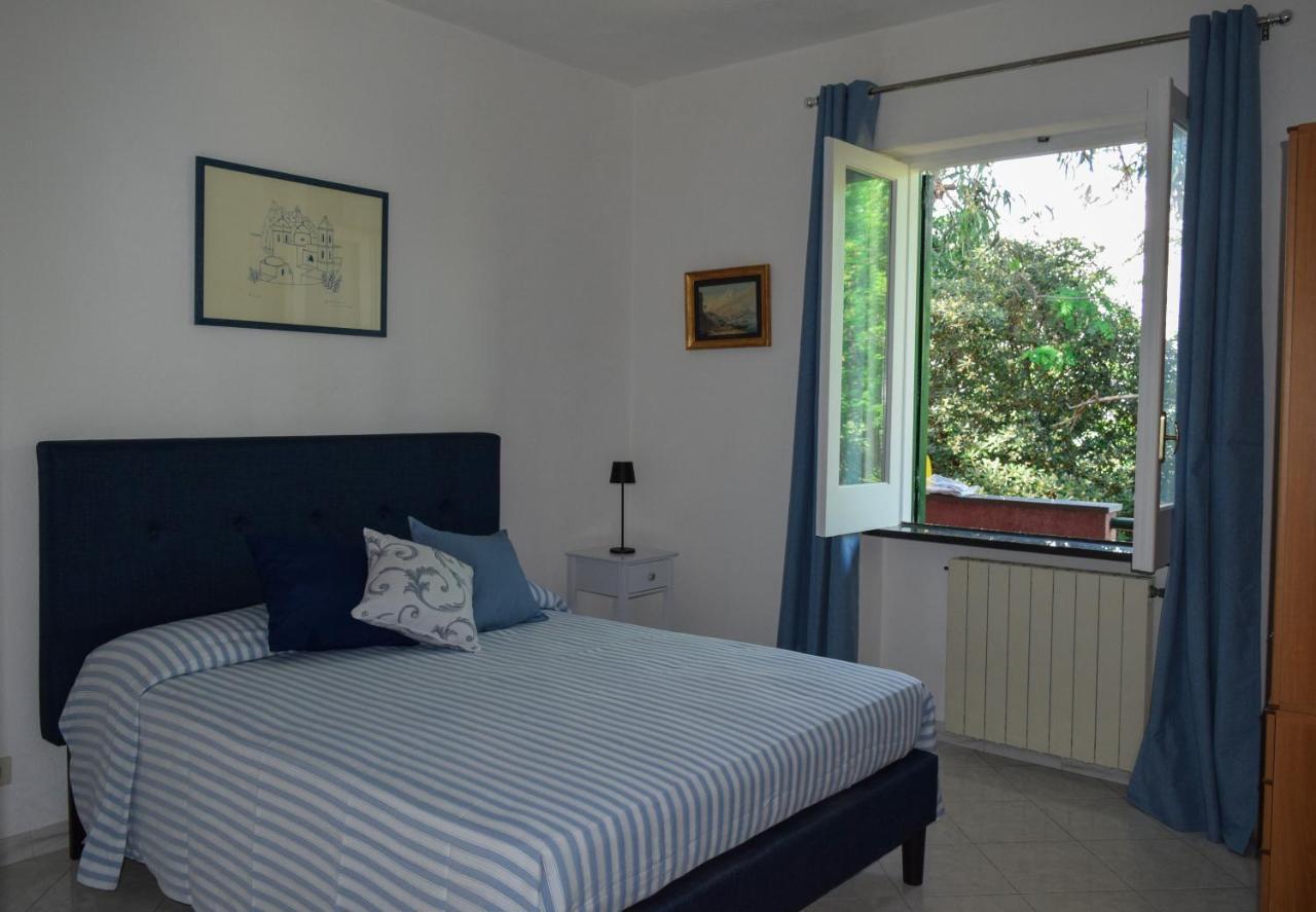 Il Giardino Selvatico Di Succellario - Apartments Barano dʼIschia Esterno foto