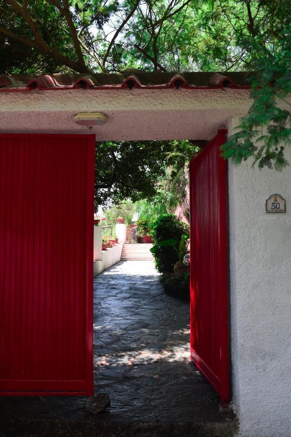 Il Giardino Selvatico Di Succellario - Apartments Barano dʼIschia Esterno foto