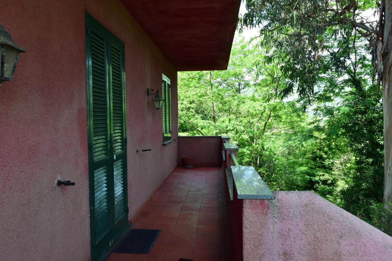 Il Giardino Selvatico Di Succellario - Apartments Barano dʼIschia Esterno foto