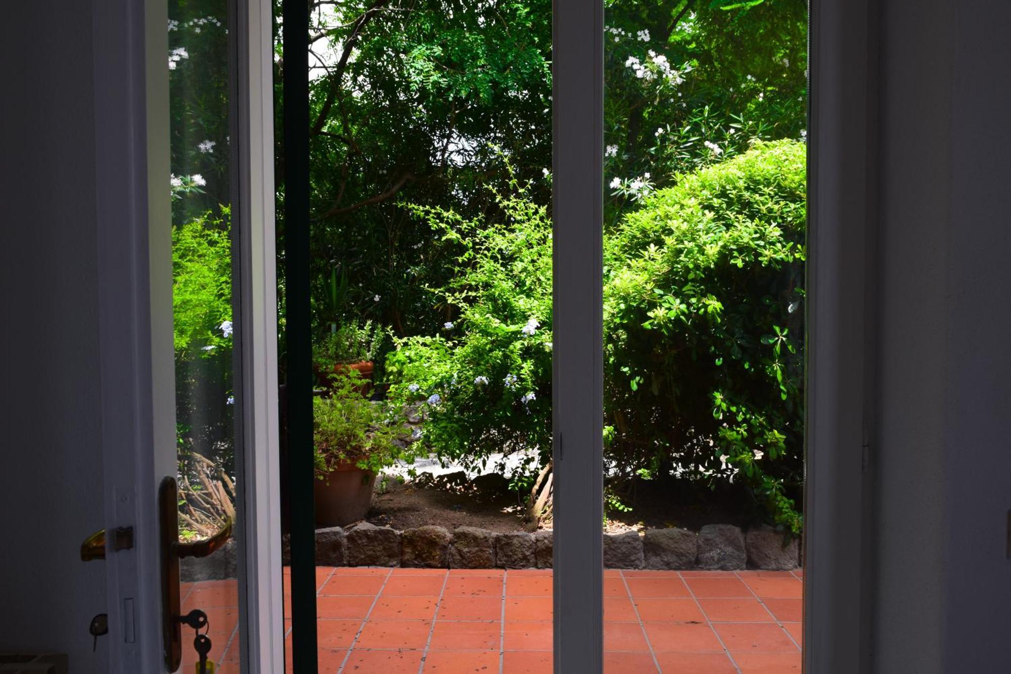 Il Giardino Selvatico Di Succellario - Apartments Barano dʼIschia Esterno foto
