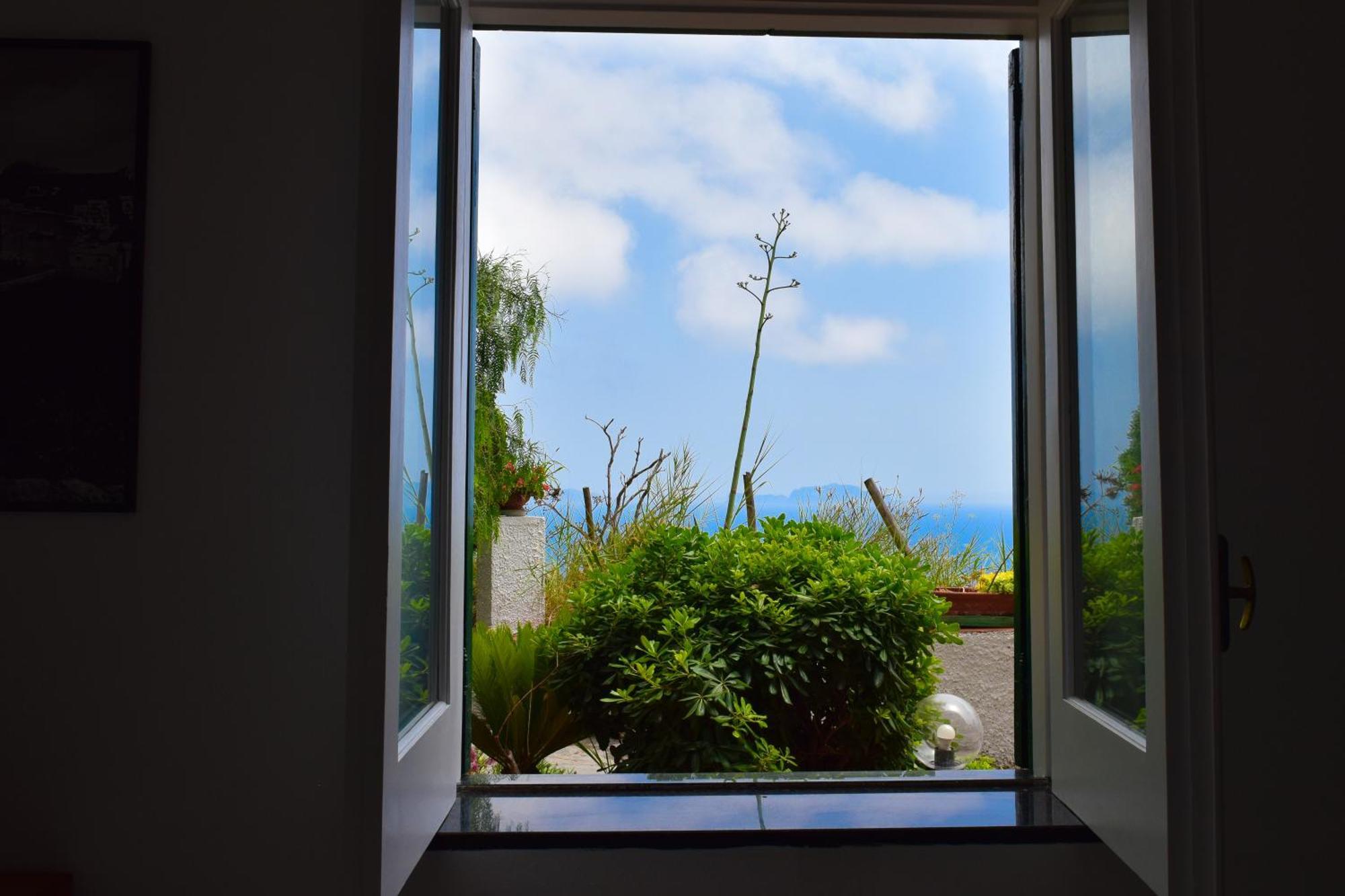 Il Giardino Selvatico Di Succellario - Apartments Barano dʼIschia Esterno foto